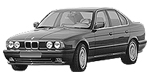 BMW E34 P0AA1 Fault Code